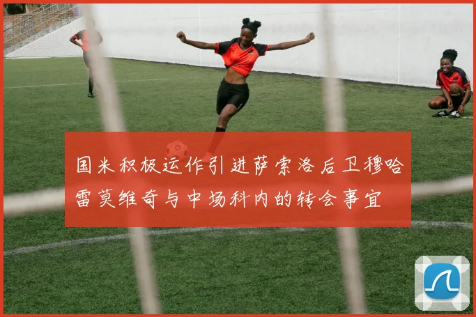 国米积极运作引进萨索洛后卫穆哈雷莫维奇与中场科内的转会事宜