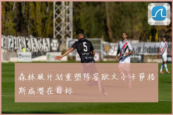 森林狼计划重塑阵容欧文小卡萨格斯成潜在目标